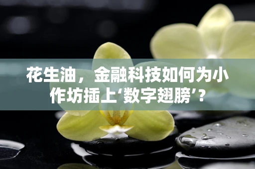 花生油，金融科技如何为小作坊插上‘数字翅膀’？