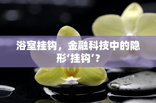 浴室挂钩，金融科技中的隐形‘挂钩’？