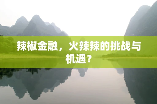 辣椒金融，火辣辣的挑战与机遇？