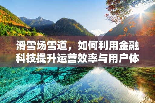 滑雪场雪道，如何利用金融科技提升运营效率与用户体验？