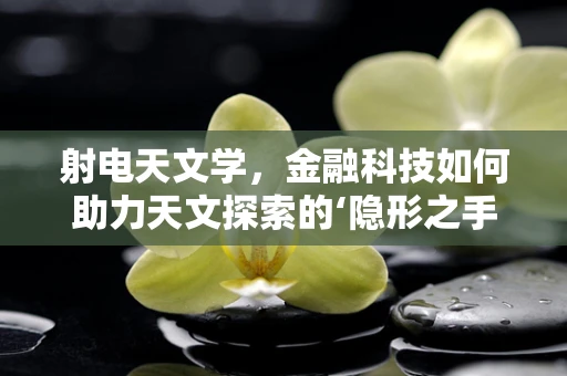 射电天文学，金融科技如何助力天文探索的‘隐形之手’？