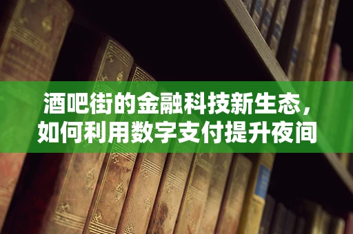 酒吧街的金融科技新生态，如何利用数字支付提升夜间经济活力？