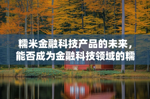 糯米金融科技产品的未来，能否成为金融科技领域的糯米团子？