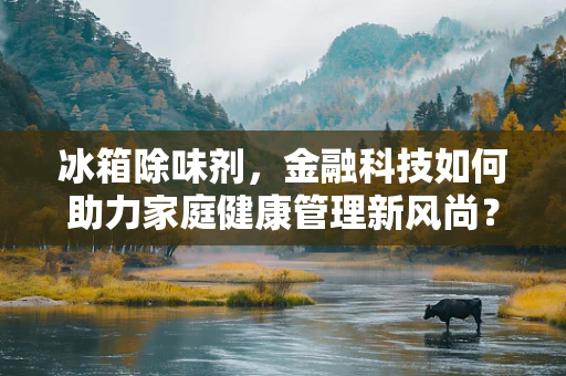 冰箱除味剂，金融科技如何助力家庭健康管理新风尚？