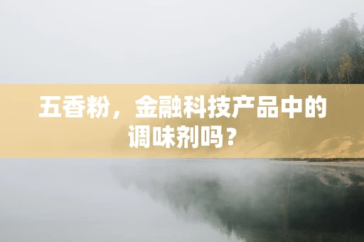 五香粉，金融科技产品中的调味剂吗？