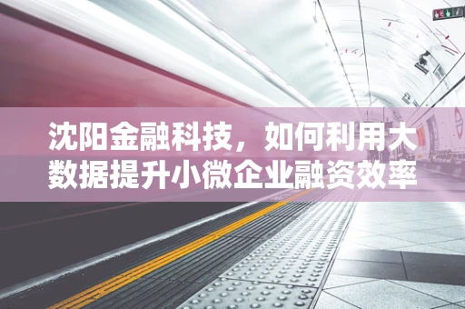 沈阳金融科技，如何利用大数据提升小微企业融资效率？