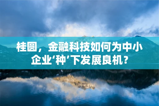 桂圆，金融科技如何为中小企业‘种’下发展良机？