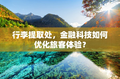 行李提取处，金融科技如何优化旅客体验？