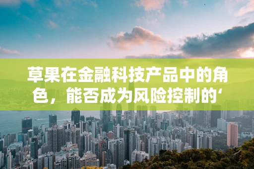 草果在金融科技产品中的角色，能否成为风险控制的‘秘密武器’？