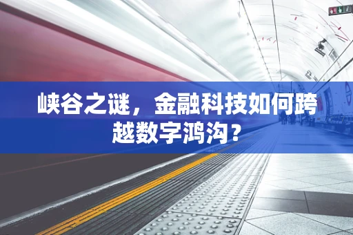 峡谷之谜，金融科技如何跨越数字鸿沟？