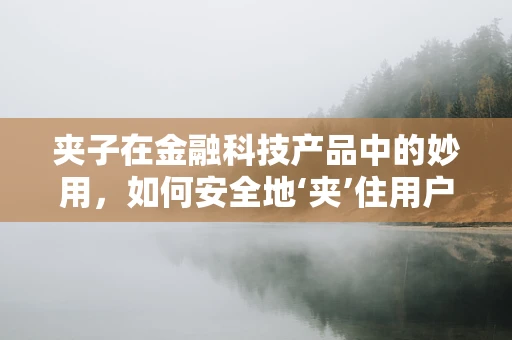 夹子在金融科技产品中的妙用，如何安全地‘夹’住用户数据？