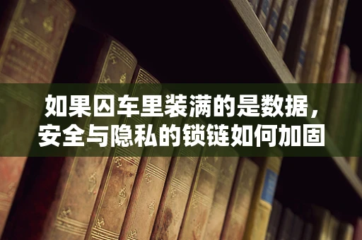 如果囚车里装满的是数据，安全与隐私的锁链如何加固？