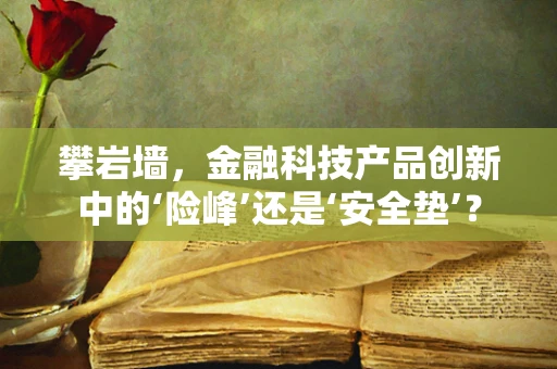 攀岩墙，金融科技产品创新中的‘险峰’还是‘安全垫’？