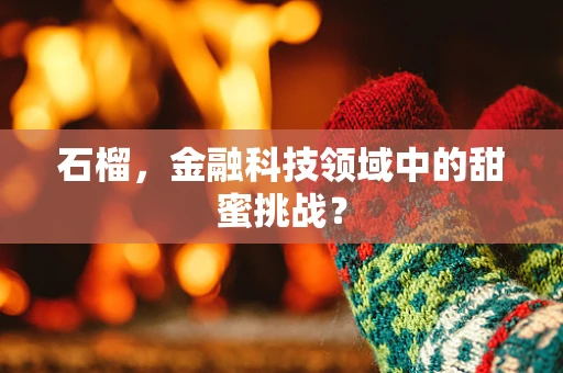 石榴，金融科技领域中的甜蜜挑战？