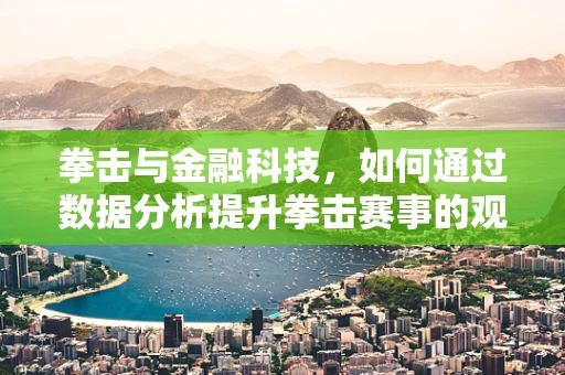 拳击与金融科技，如何通过数据分析提升拳击赛事的观赏性与安全性？