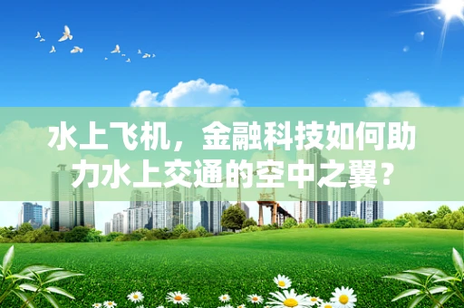水上飞机，金融科技如何助力水上交通的空中之翼？
