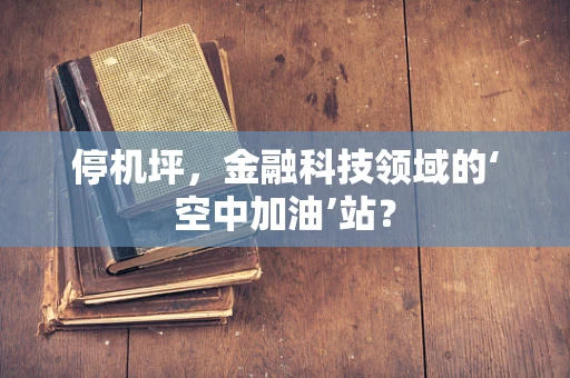 停机坪，金融科技领域的‘空中加油’站？