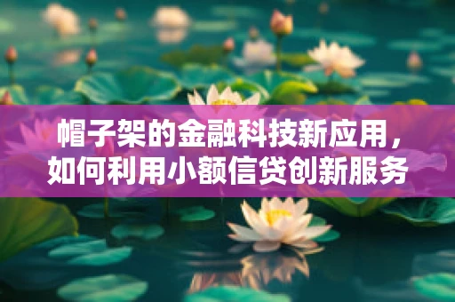 帽子架的金融科技新应用，如何利用小额信贷创新服务模式？