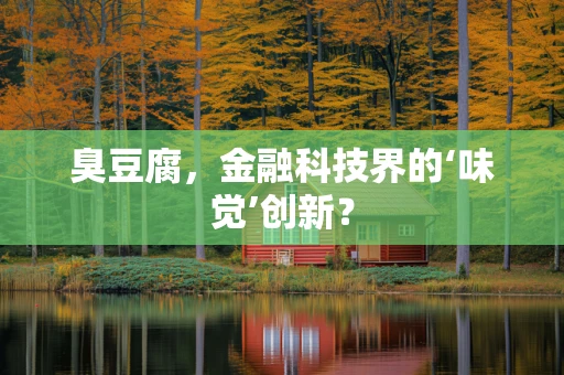 臭豆腐，金融科技界的‘味觉’创新？