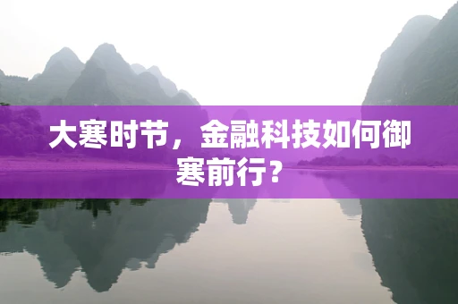 大寒时节，金融科技如何御寒前行？