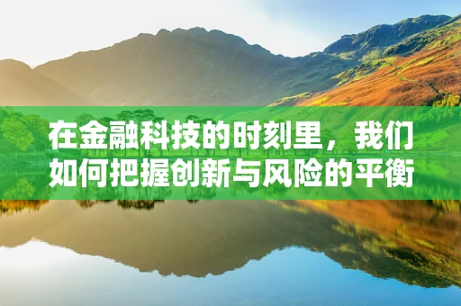 在金融科技的时刻里，我们如何把握创新与风险的平衡？
