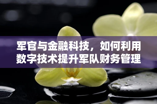 军官与金融科技，如何利用数字技术提升军队财务管理？