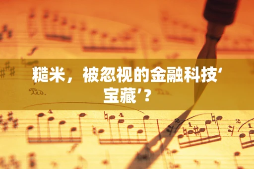 糙米，被忽视的金融科技‘宝藏’？