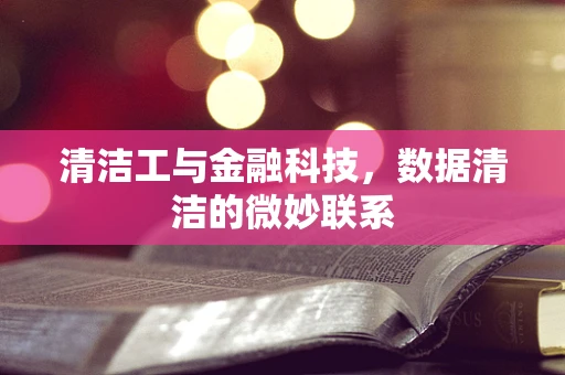 清洁工与金融科技，数据清洁的微妙联系