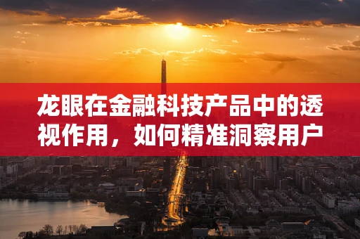 龙眼在金融科技产品中的透视作用，如何精准洞察用户需求？