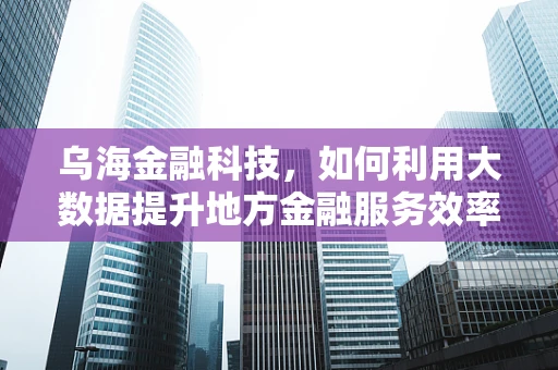 乌海金融科技，如何利用大数据提升地方金融服务效率？