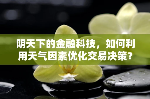 阴天下的金融科技，如何利用天气因素优化交易决策？
