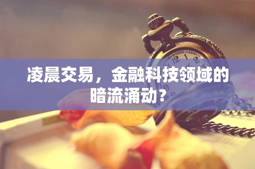 凌晨交易，金融科技领域的暗流涌动？