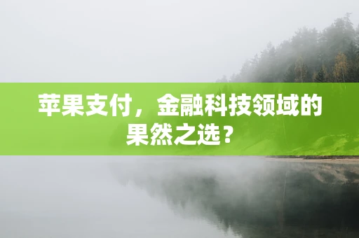 苹果支付，金融科技领域的果然之选？