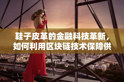 鞋子皮革的金融科技革新，如何利用区块链技术保障供应链透明度？