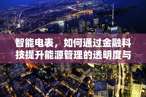 智能电表，如何通过金融科技提升能源管理的透明度与效率？