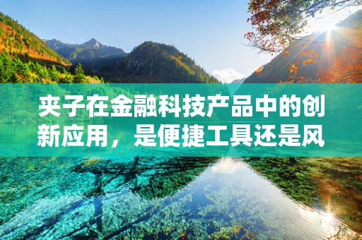 夹子在金融科技产品中的创新应用，是便捷工具还是风险隐患？