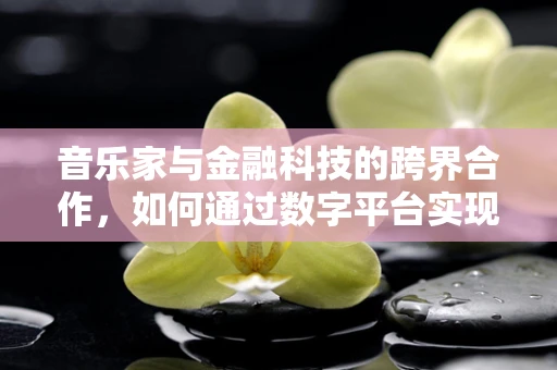 音乐家与金融科技的跨界合作，如何通过数字平台实现音乐梦想的融资？