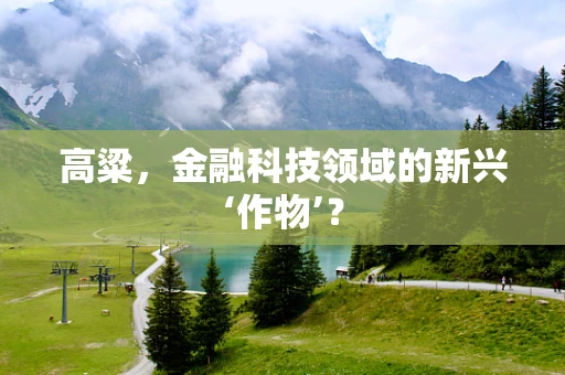 高粱，金融科技领域的新兴‘作物’？