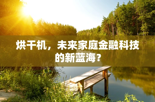 烘干机，未来家庭金融科技的新蓝海？