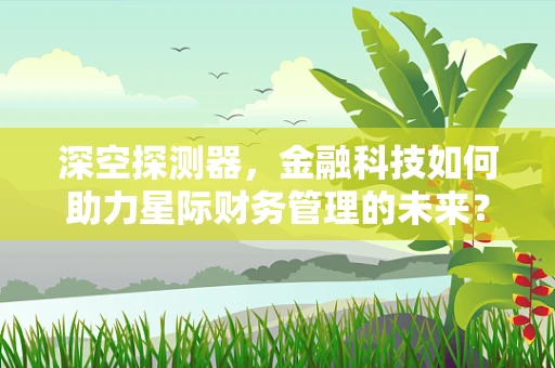 深空探测器，金融科技如何助力星际财务管理的未来？
