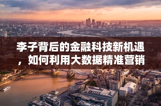 李子背后的金融科技新机遇，如何利用大数据精准营销？