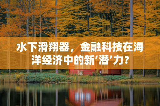 水下滑翔器，金融科技在海洋经济中的新‘潜’力？
