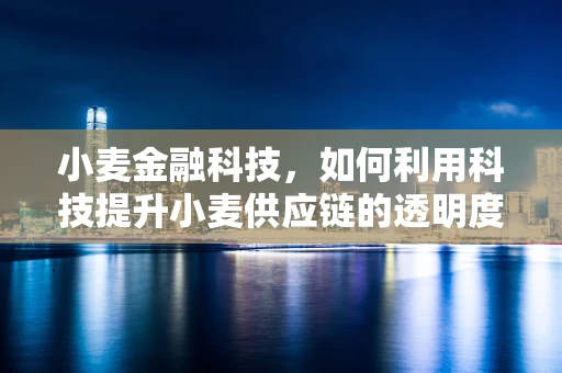 小麦金融科技，如何利用科技提升小麦供应链的透明度与效率？