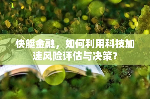 快艇金融，如何利用科技加速风险评估与决策？