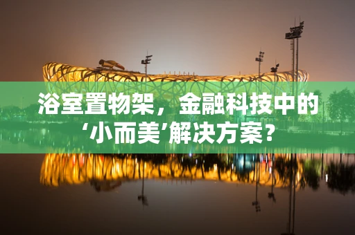浴室置物架，金融科技中的‘小而美’解决方案？
