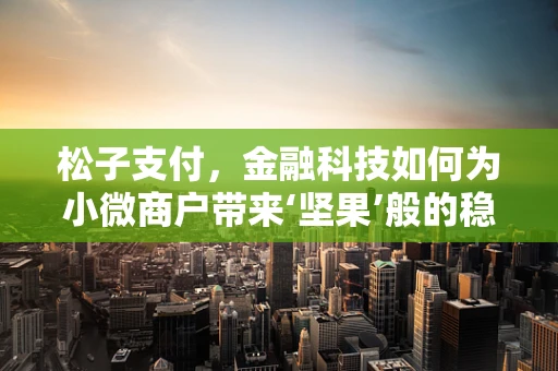 松子支付，金融科技如何为小微商户带来‘坚果’般的稳定收入？