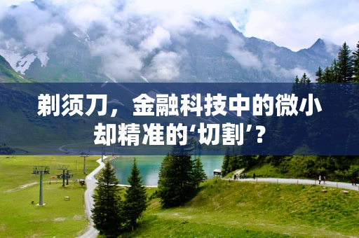 剃须刀，金融科技中的微小却精准的‘切割’？