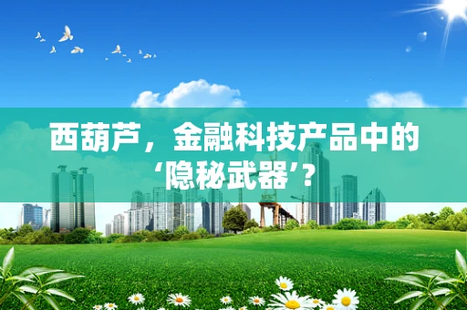 西葫芦，金融科技产品中的‘隐秘武器’？